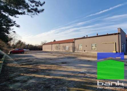 Pabianice - hala na parterze 1160 m2