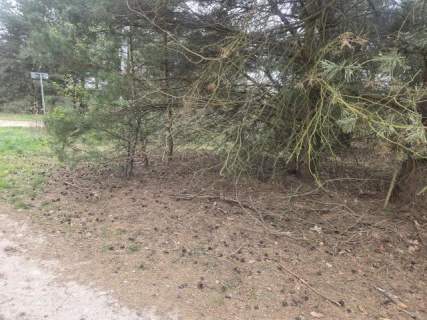Złota, wz 5 domów jedno lub dwulokalowych, media