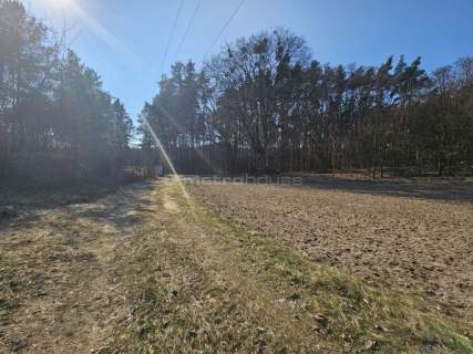 Działka z WZ 3728 m2 w Brzozie gm Wielka Nieszawka