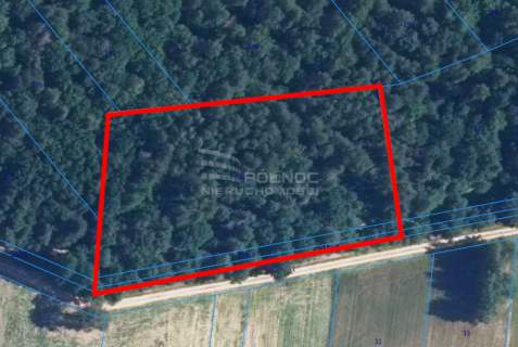 Las 6500m2 w Marysin gmina Rejowiec
