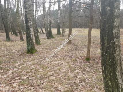 działka z planem zagospodarowania