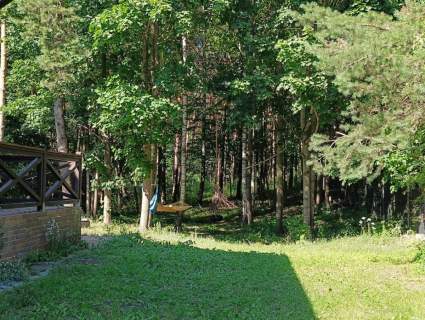 Mazury dom z lasem przy jeziorze Pilna sprzedaż 