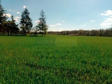 Działka siedliskowa na sprzedaż, 3000 m2, Kępa Kiełpińska
