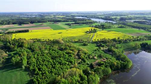 Duża działka z WZ oraz linią brzegową jeziora