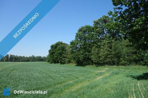 Skoczów Ochaby 63ar rolna pod rekreacje widokowa na góry