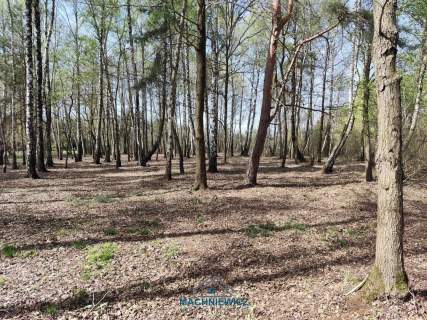 Działka budowlana na sprzedaż, 10904 m2, Anielin Swędowski