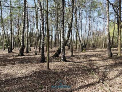 Działka budowlana na sprzedaż, 10904 m2, Anielin Swędowski