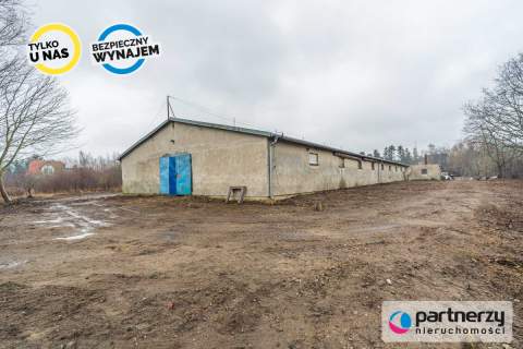 1430M2 hali na działce 8800M2 wysokość 3,12m