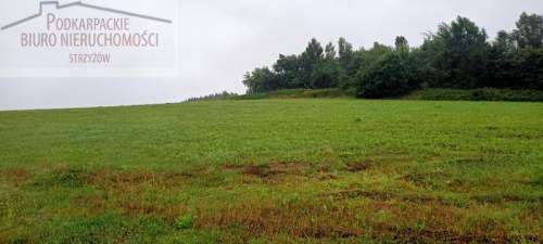 Działka budowlana na sprzedaż, 9500 m2, Strzyżów