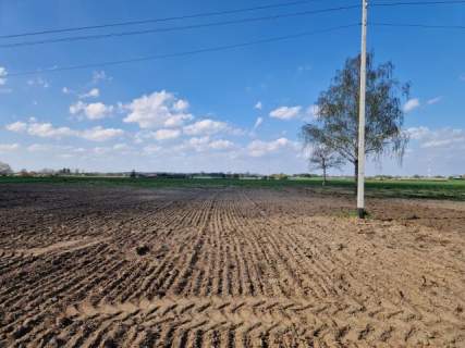 Działka - siedlisko w Arciszewie 2,05 ha gm. Boniewo