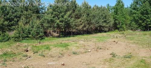 Piskórka, 3000 m2, MPZP, mieszkaniowa