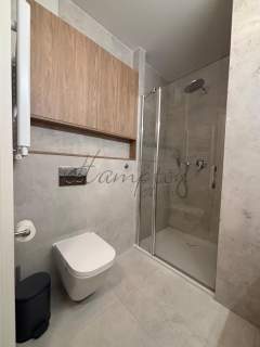 Apartament na wynajem na Powiślu