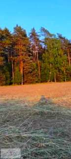 Działka budowlana na sprzedaż, 1240 m2, Feliksów