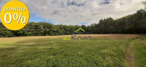 Działka w otulinie lasu - Grabowiec