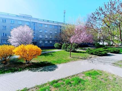 Żeromskiego 66/72A, 2 pokoje, 50m2, pierwszy najem