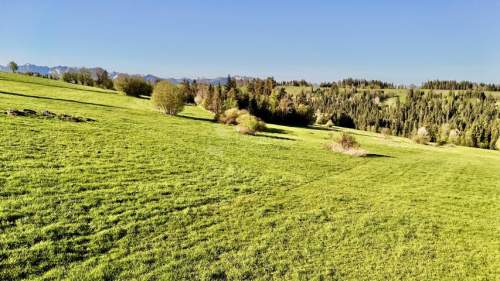 WIDOKOWA DZIAŁKA LEŚNICA 1437 M2, WYDANE WZ