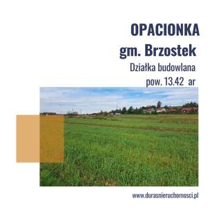 Opacionka działka budowlana 13 ar
