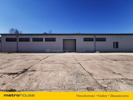 Magazyn do wynajęcia, 2620 m2, Trzebielino