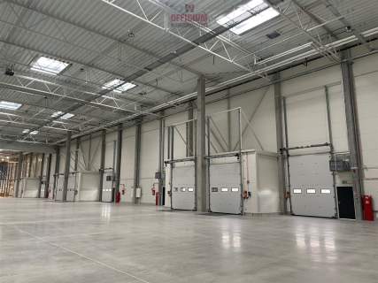 nowe hale 600/860/630 mkw biura