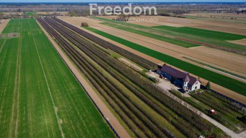 Piękne siedlisko z domem i halą obok Konstancina