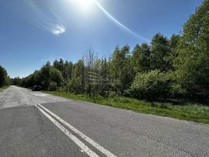 Działka na trasie S12 Chelm- Dorohusk -10006m2