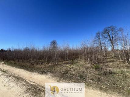 Działka pod budowę domu I 3104 m2 I gm. Lubichowo