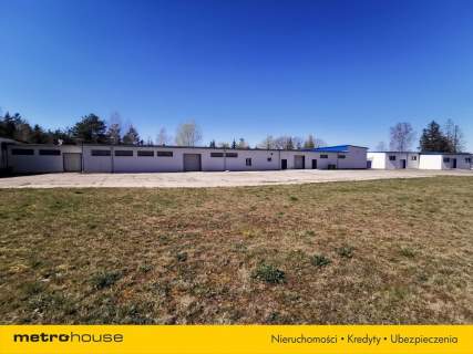 Magazyn do wynajęcia, 2620 m2, Trzebielino
