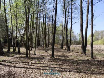 Działka budowlana na sprzedaż, 10904 m2, Anielin Swędowski
