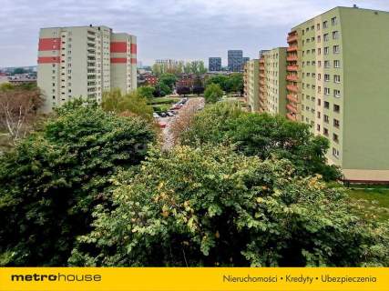Katowice mieszkanie z potencjałem ładna okolica
