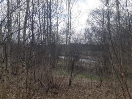 Działka budowlana z widokiem na staw Nowy Bukowiec, gm. Stara...