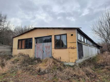 Dom, hala produkcyjna, budynek gospodarczy, działka 0,19 ha