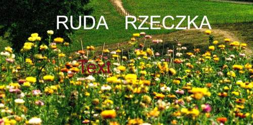 Działka