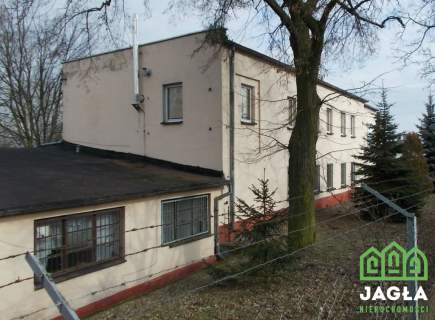 Hala produkcyjna 1065m2/3350m2 Kcynia