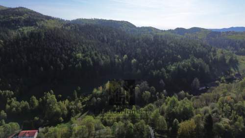 Leśne Zacisze Działka 752 m przy lesie
