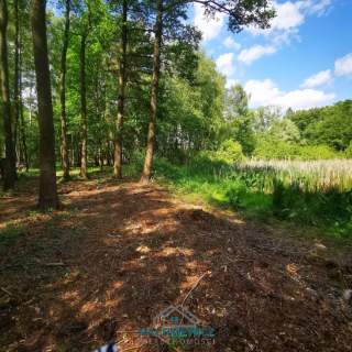 Działka budowlana na sprzedaż, 10904 m2, Anielin Swędowski