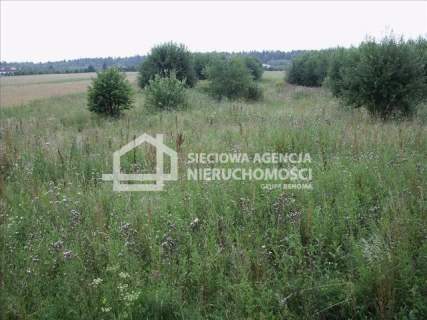 Działka inwestycyjna na sprzedaż, 5500 m2, Bolesławice