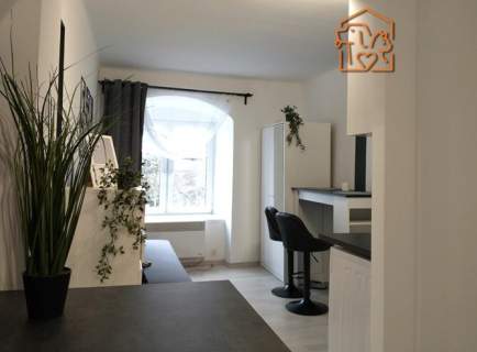 Studio pet-friendly, Słowackiego 11, Os. Centrum 