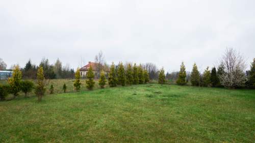Działka - Winiec