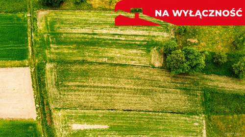 Działka rolna w Łukowej 