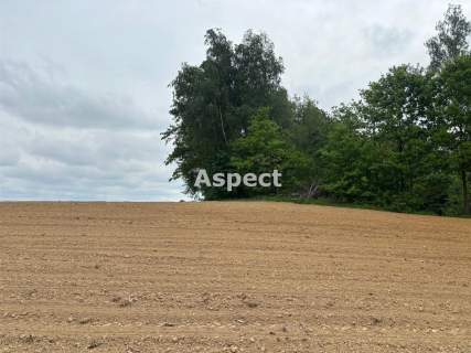 Działki budowlane Studzionka