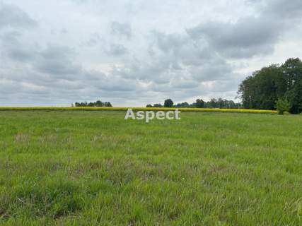 Działki budowlane Studzionka