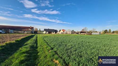 Sitaniec, Zamość, działka 1400m2 14ar