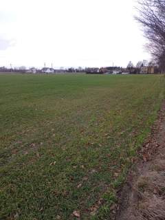 Sprzedam działki Winnica, 1000-1300m2
