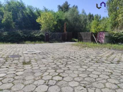 Magazyn do wynajęcia, 850 m2, Sosnowiec