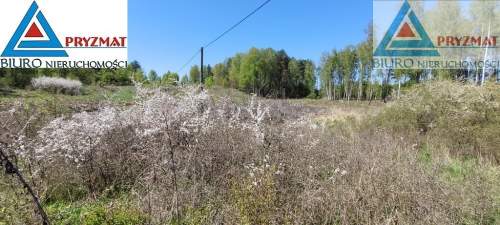 Ostatnie działki - Kolonia Mokiny 25zł/m.kw