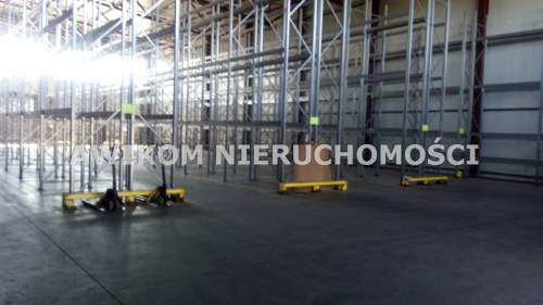 Magazyn do wynajęcia, 1200 m2, Skierniewice