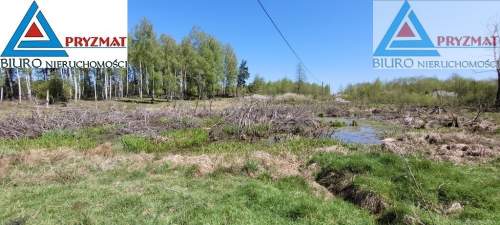 Ostatnie działki - Kolonia Mokiny 25zł/m.kw
