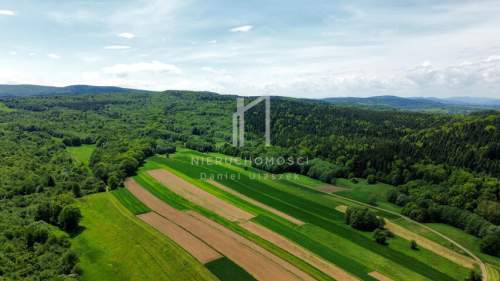 NIERUCHOMOŚĆ LEŚNA, BEDNARKA, GM. LIPINKI, 1,70HA