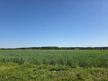 Piękne działki Kaszczor, blisko Jeziora Wieleńskiego