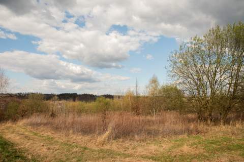 Działka rolno-budowlana w Ryglicach - 1,14 ha